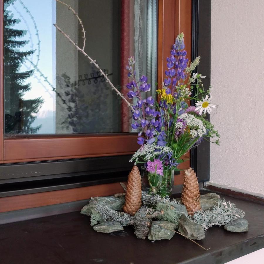 Good Times Gerlitzen Apartment Deutschberg ภายนอก รูปภาพ